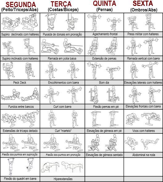 Muscula O Para Iniciantes Fleed